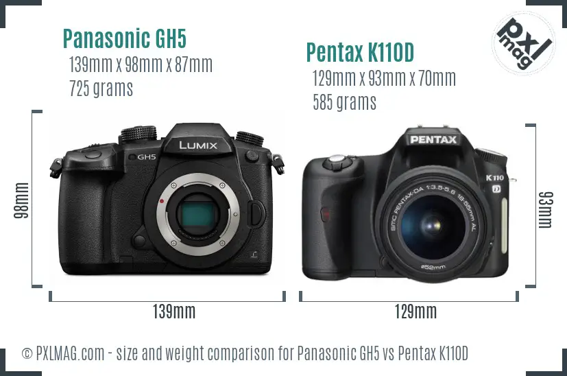 Panasonic GH5 vs Pentax K110D size comparison