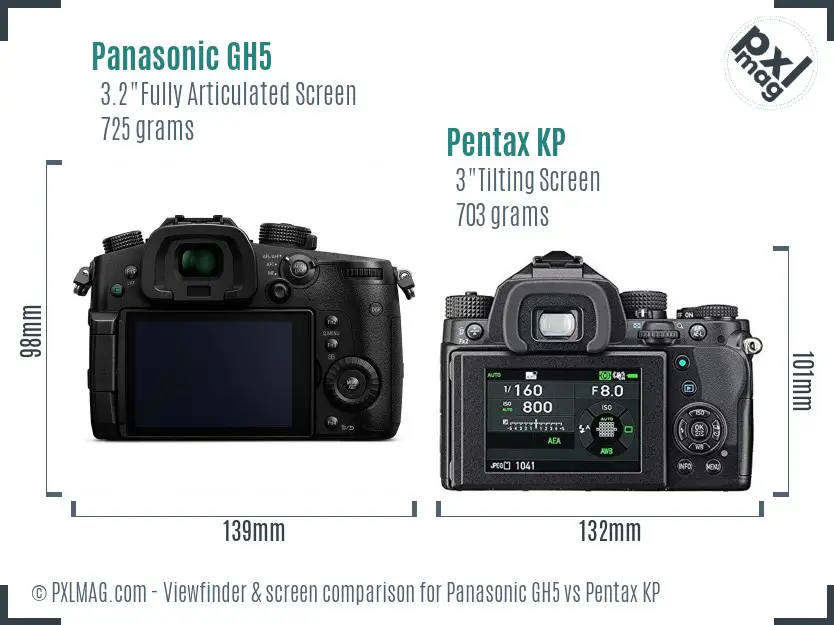 Panasonic GH5 vs Pentax KP Screen and Viewfinder comparison