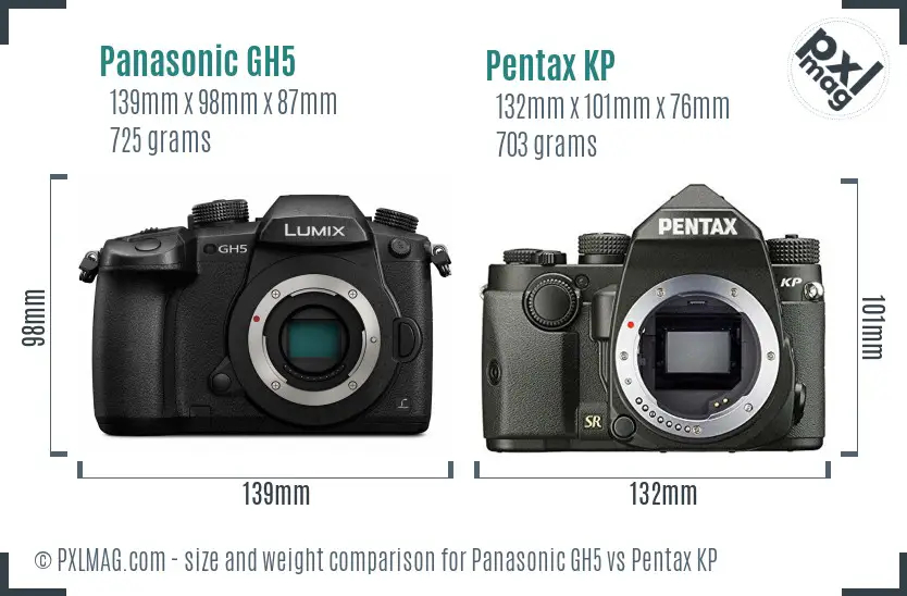 Panasonic GH5 vs Pentax KP size comparison