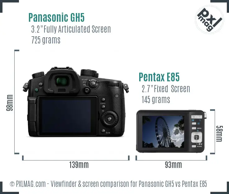 Panasonic GH5 vs Pentax E85 Screen and Viewfinder comparison