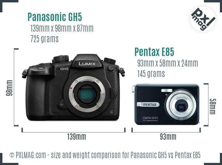 Panasonic GH5 vs Pentax E85 size comparison