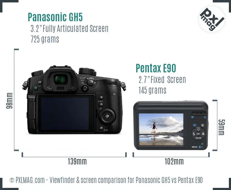 Panasonic GH5 vs Pentax E90 Screen and Viewfinder comparison