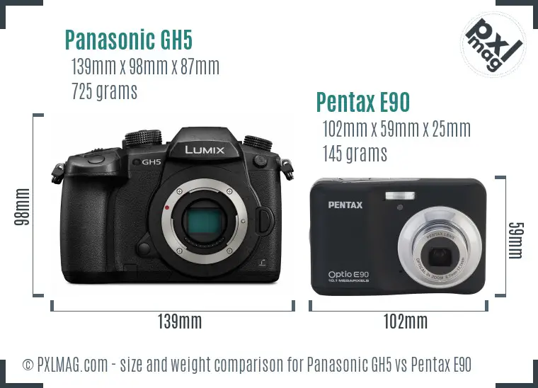 Panasonic GH5 vs Pentax E90 size comparison