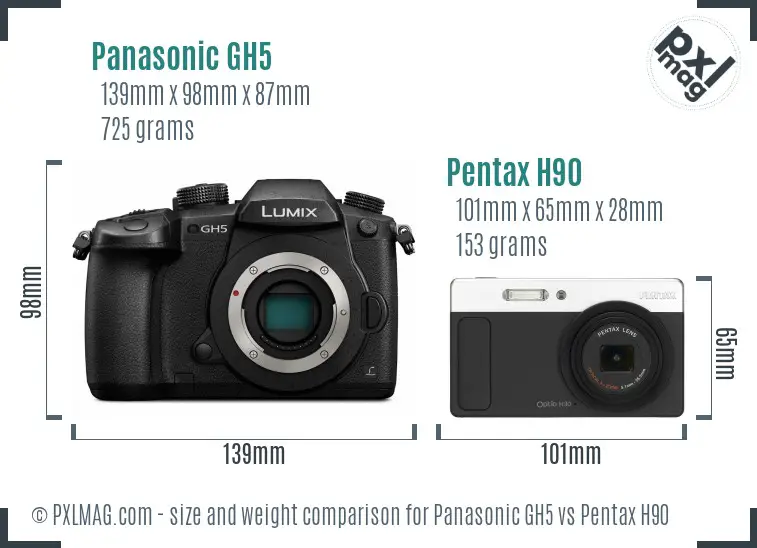 Panasonic GH5 vs Pentax H90 size comparison