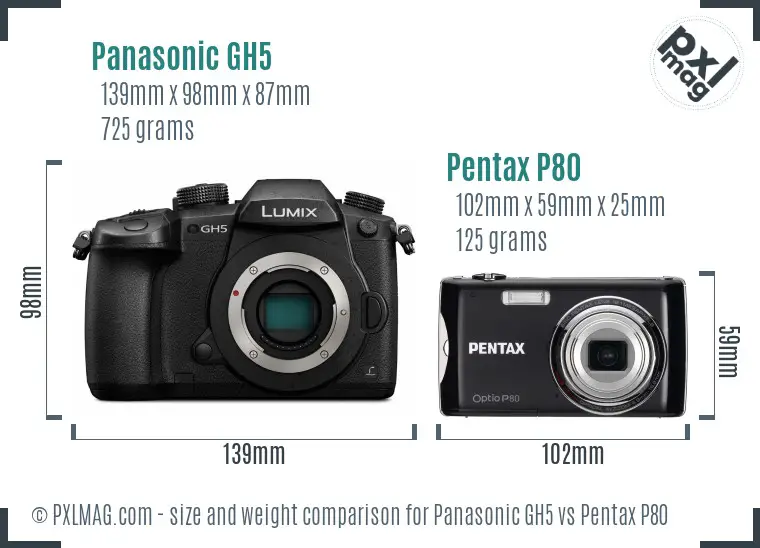Panasonic GH5 vs Pentax P80 size comparison