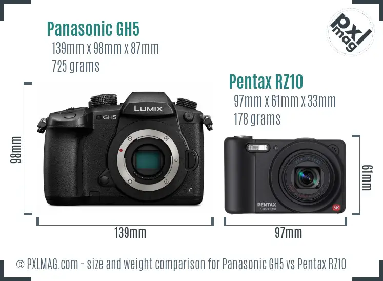 Panasonic GH5 vs Pentax RZ10 size comparison