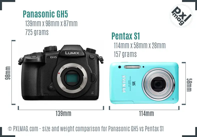 Panasonic GH5 vs Pentax S1 size comparison