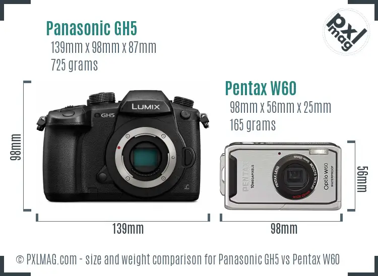 Panasonic GH5 vs Pentax W60 size comparison