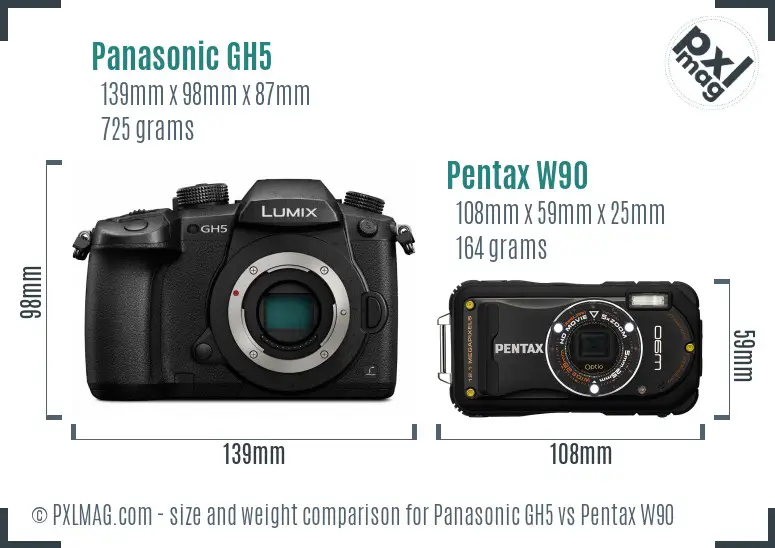 Panasonic GH5 vs Pentax W90 size comparison