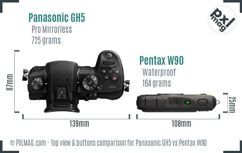 Panasonic GH5 vs Pentax W90 top view buttons comparison