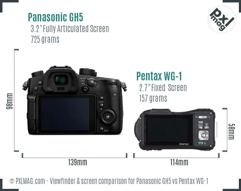 Panasonic GH5 vs Pentax WG-1 Screen and Viewfinder comparison