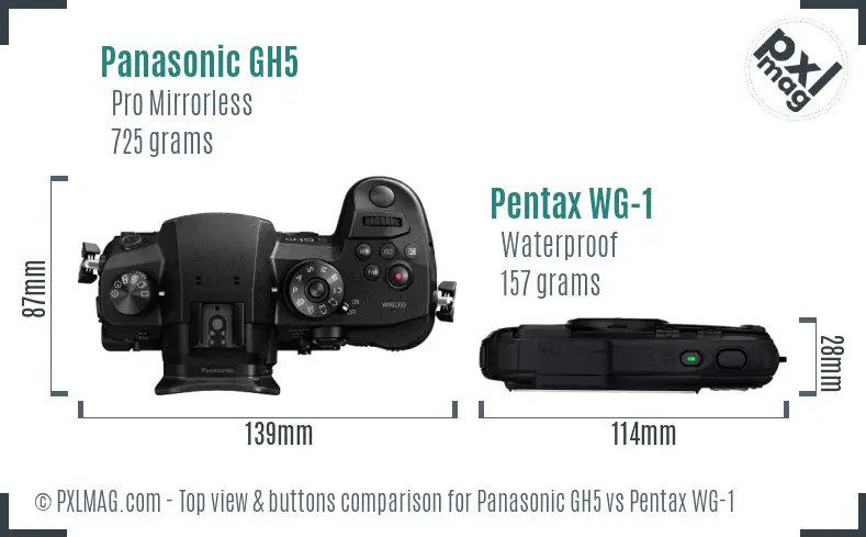 Panasonic GH5 vs Pentax WG-1 top view buttons comparison