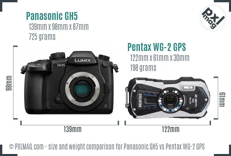 Panasonic GH5 vs Pentax WG-2 GPS size comparison