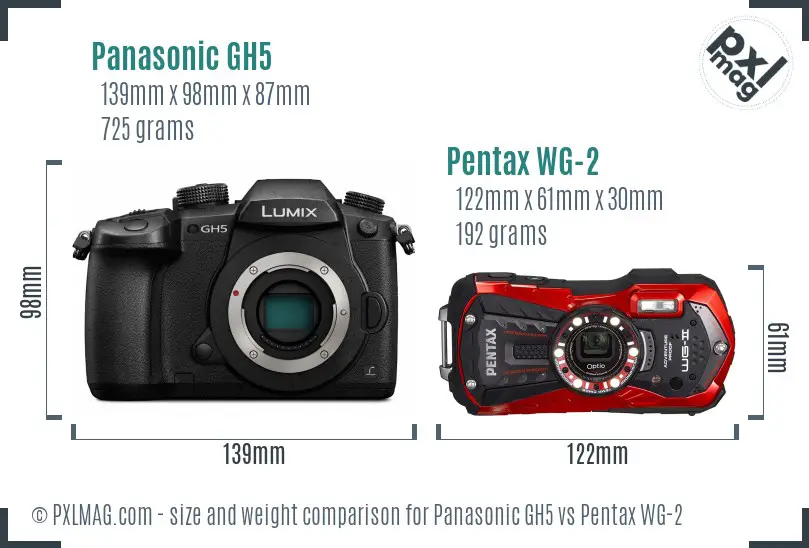 Panasonic GH5 vs Pentax WG-2 size comparison