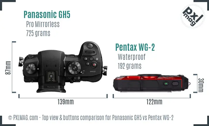 Panasonic GH5 vs Pentax WG-2 top view buttons comparison