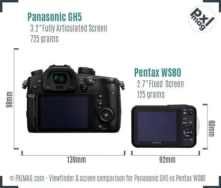 Panasonic GH5 vs Pentax WS80 Screen and Viewfinder comparison