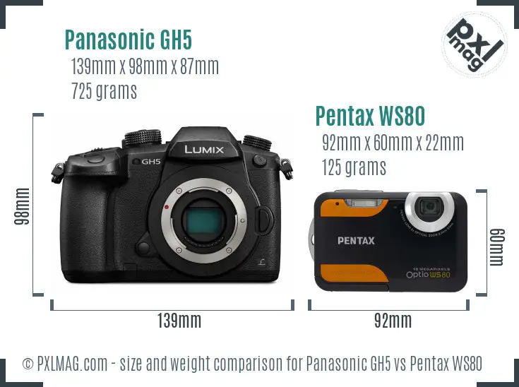 Panasonic GH5 vs Pentax WS80 size comparison