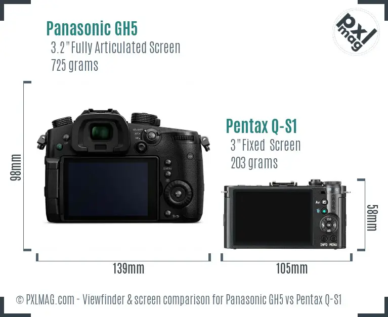 Panasonic GH5 vs Pentax Q-S1 Screen and Viewfinder comparison