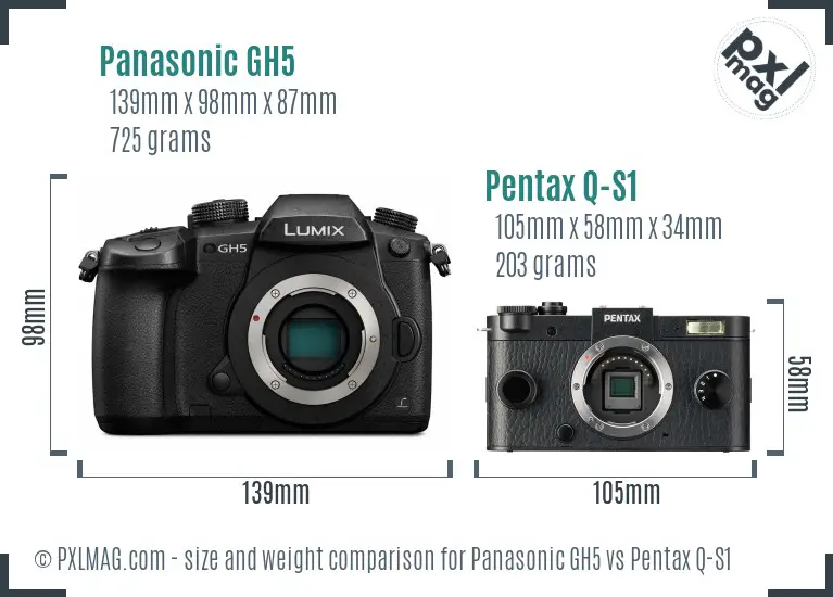 Panasonic GH5 vs Pentax Q-S1 size comparison