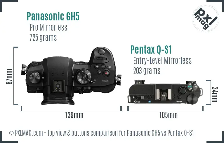 Panasonic GH5 vs Pentax Q-S1 top view buttons comparison