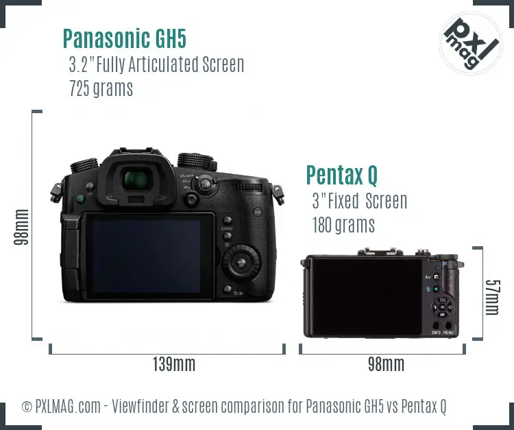 Panasonic GH5 vs Pentax Q Screen and Viewfinder comparison