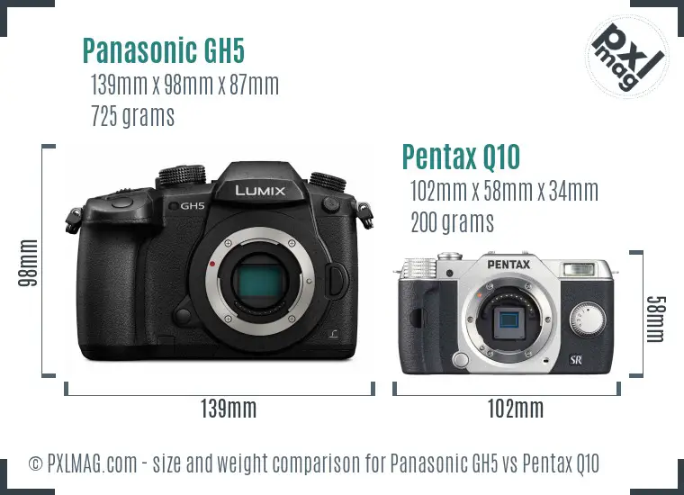 Panasonic GH5 vs Pentax Q10 size comparison