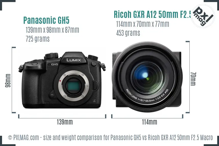 Panasonic GH5 vs Ricoh GXR A12 50mm F2.5 Macro size comparison