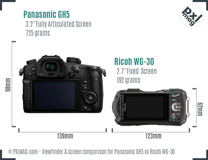 Panasonic GH5 vs Ricoh WG-30 Screen and Viewfinder comparison