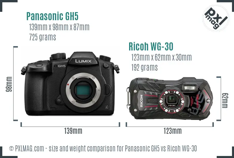 Panasonic GH5 vs Ricoh WG-30 size comparison
