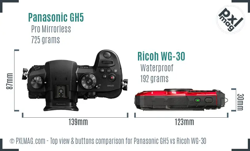 Panasonic GH5 vs Ricoh WG-30 top view buttons comparison
