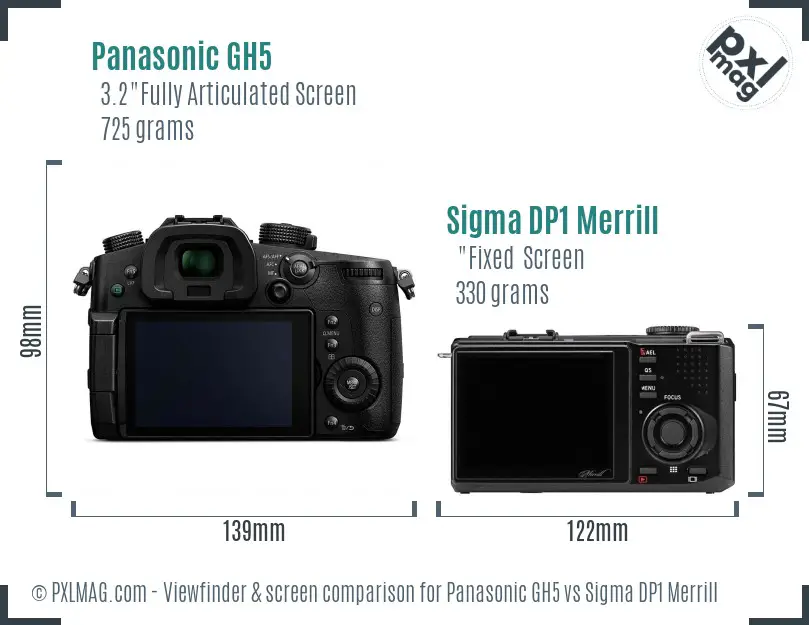 Panasonic GH5 vs Sigma DP1 Merrill Screen and Viewfinder comparison