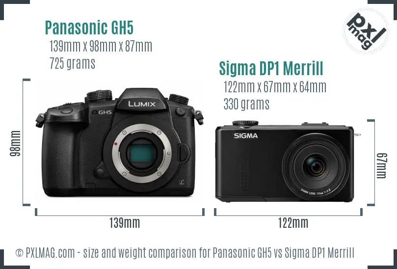 Panasonic GH5 vs Sigma DP1 Merrill size comparison