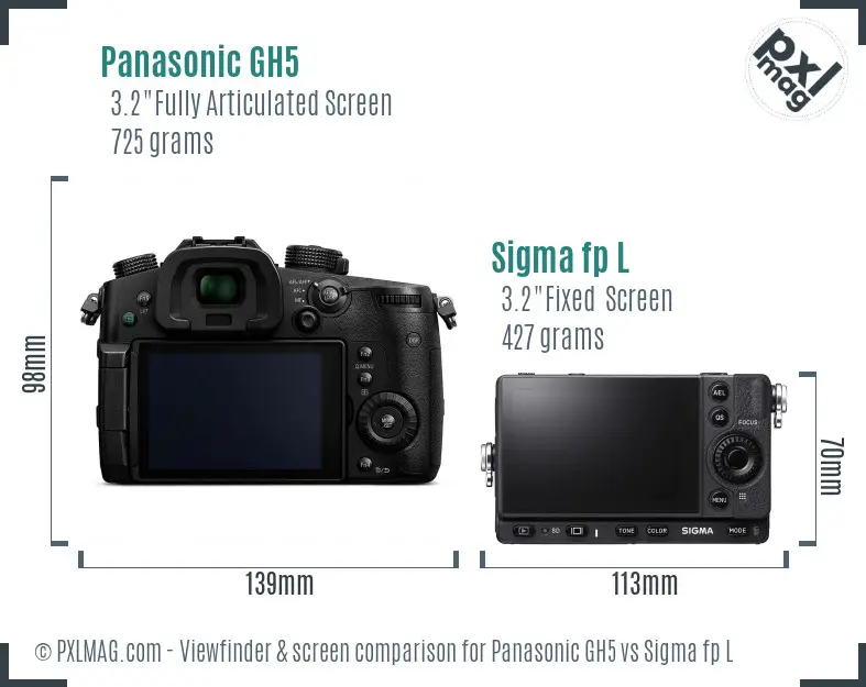 Panasonic GH5 vs Sigma fp L Screen and Viewfinder comparison