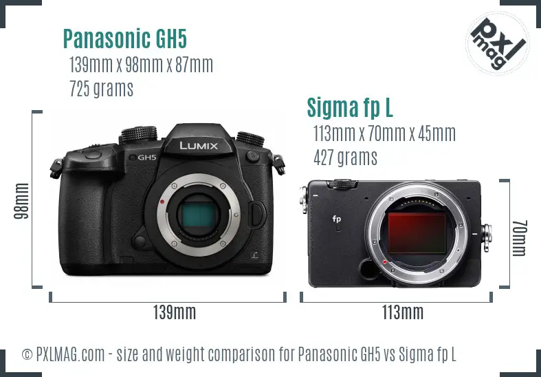 Panasonic GH5 vs Sigma fp L size comparison