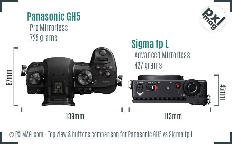Panasonic GH5 vs Sigma fp L top view buttons comparison