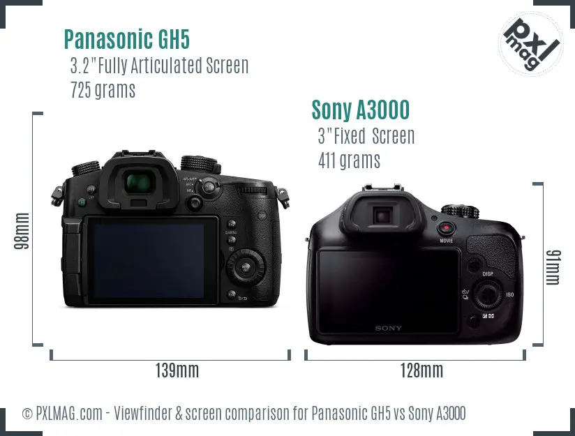 Panasonic GH5 vs Sony A3000 Screen and Viewfinder comparison