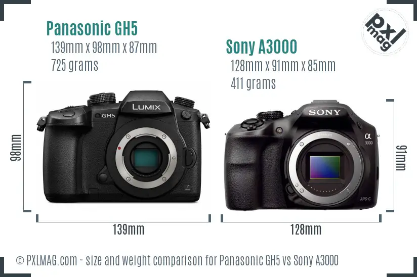 Panasonic GH5 vs Sony A3000 size comparison