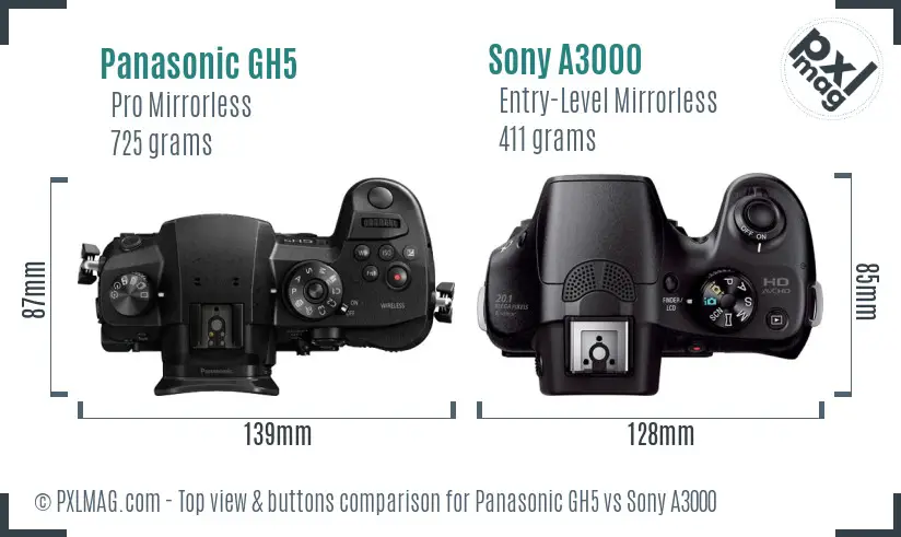 Panasonic GH5 vs Sony A3000 top view buttons comparison