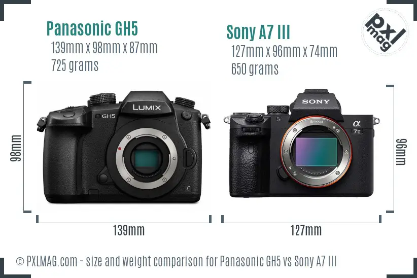 Panasonic GH5 vs Sony A7 III size comparison