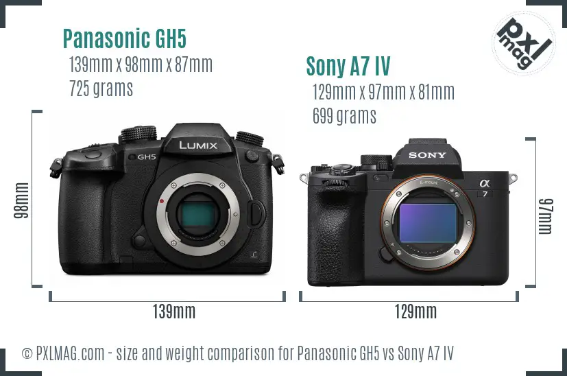 Panasonic GH5 vs Sony A7 IV size comparison