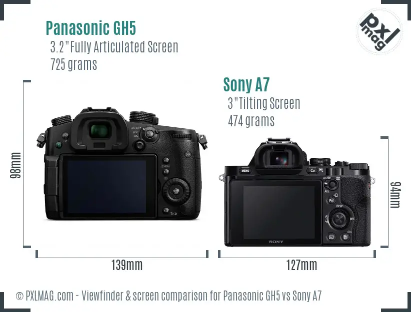 Panasonic GH5 vs Sony A7 Screen and Viewfinder comparison