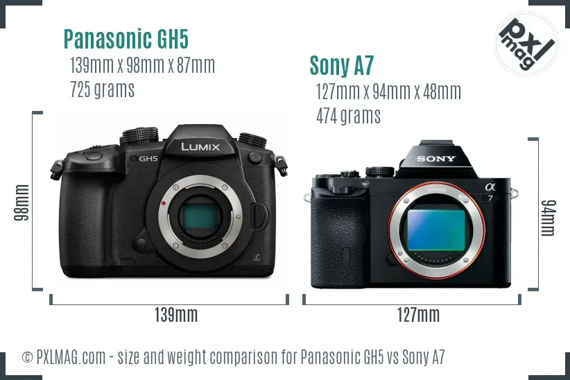 Panasonic GH5 vs Sony A7 size comparison