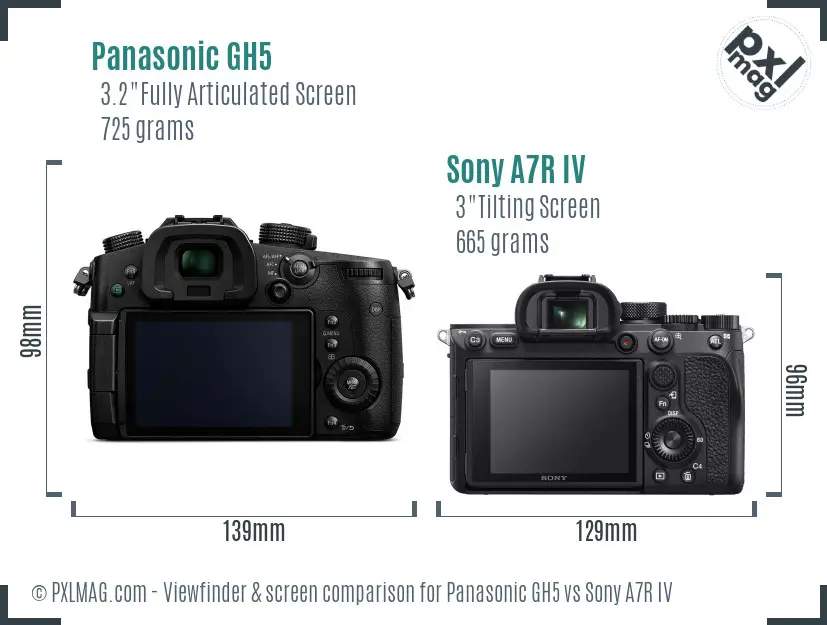 Panasonic GH5 vs Sony A7R IV Screen and Viewfinder comparison