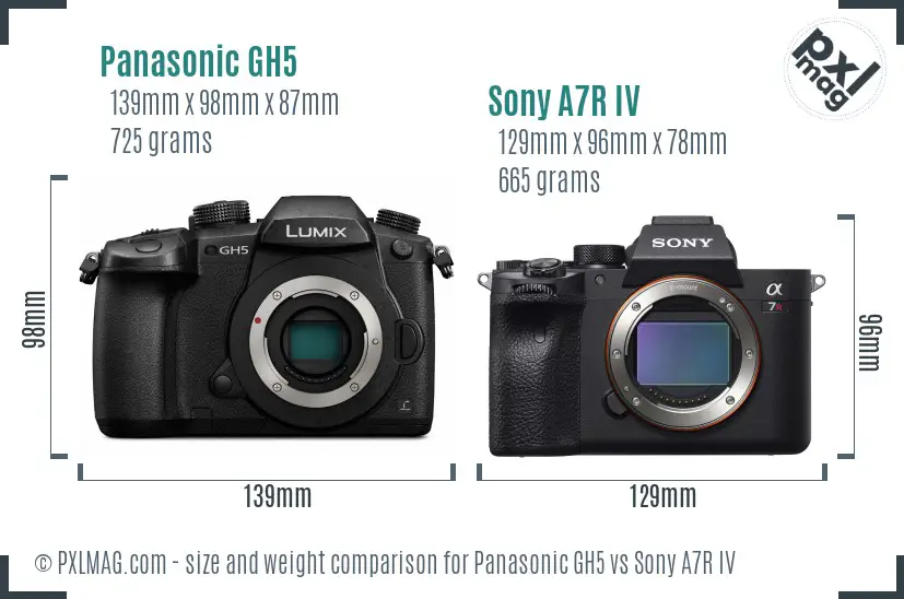 Panasonic GH5 vs Sony A7R IV size comparison