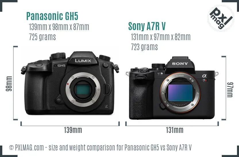Panasonic GH5 vs Sony A7R V size comparison