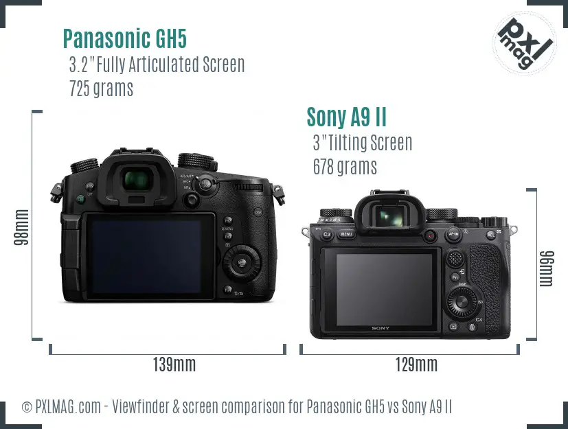 Panasonic GH5 vs Sony A9 II Screen and Viewfinder comparison