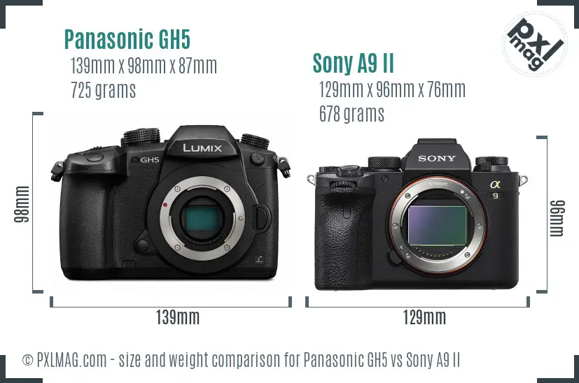 Panasonic GH5 vs Sony A9 II size comparison