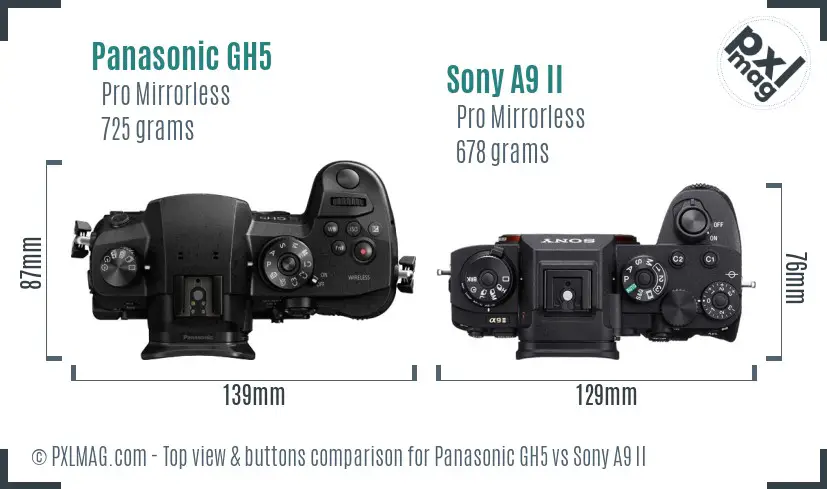 Panasonic GH5 vs Sony A9 II top view buttons comparison