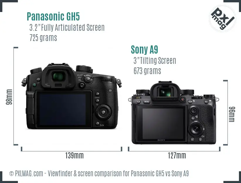 Panasonic GH5 vs Sony A9 Screen and Viewfinder comparison