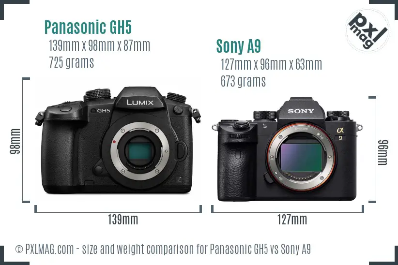 Panasonic GH5 vs Sony A9 size comparison